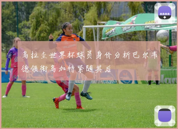 乌拉圭世界杯球员身价分析巴尔韦德领衔乌加特紧随其后